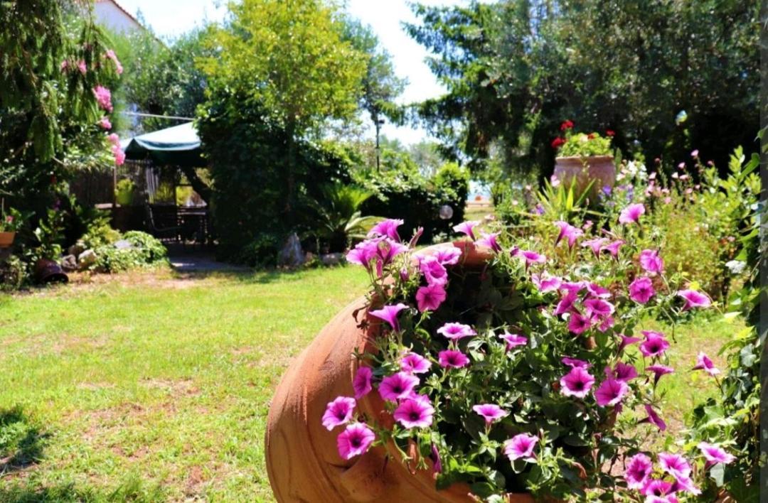 Appartamento House By The Sea 2 Nea Iraklitsa Esterno foto